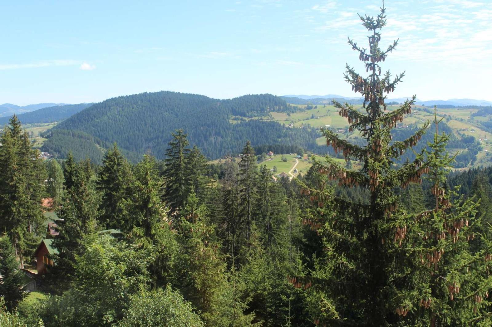 In Hotel Zlatar Ex Zlatarski Biseri Nova Varoš Екстериор снимка
