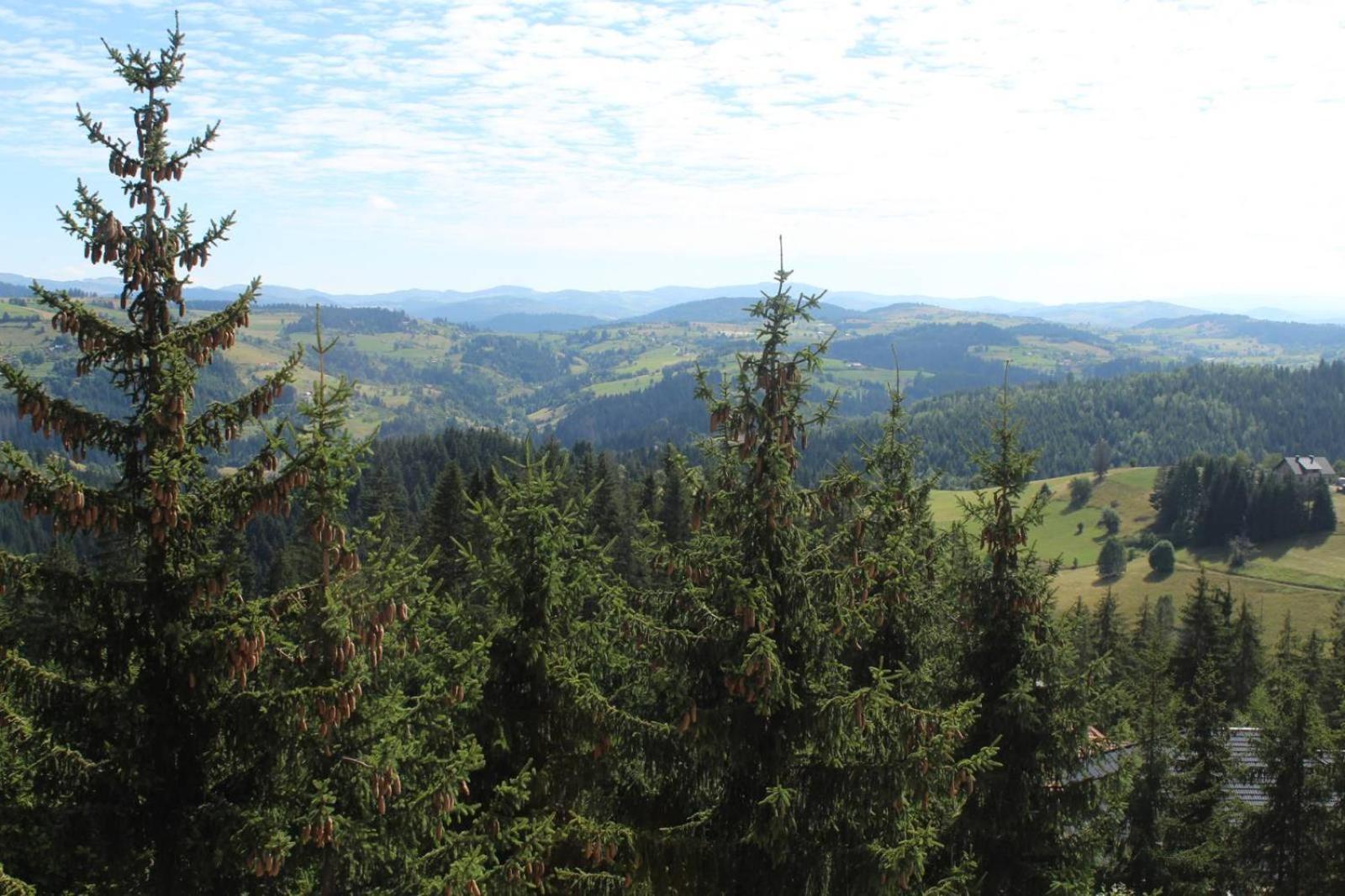 In Hotel Zlatar Ex Zlatarski Biseri Nova Varoš Екстериор снимка