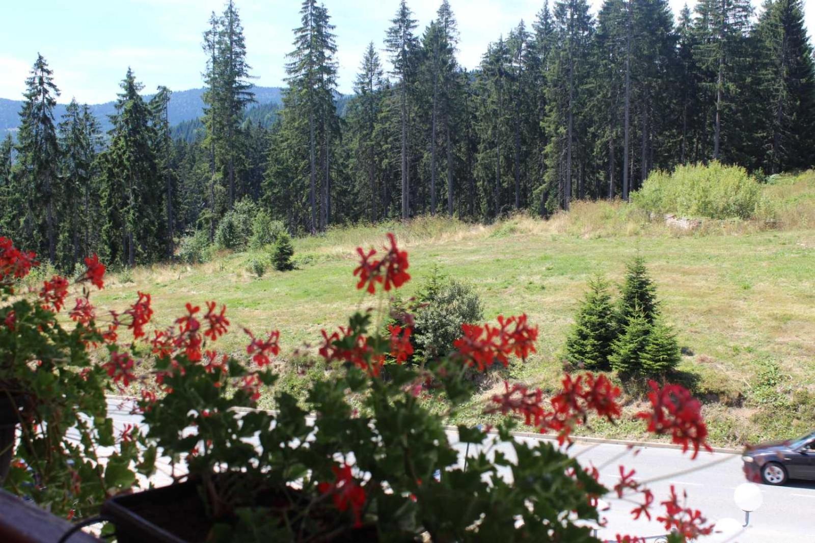 In Hotel Zlatar Ex Zlatarski Biseri Nova Varoš Екстериор снимка