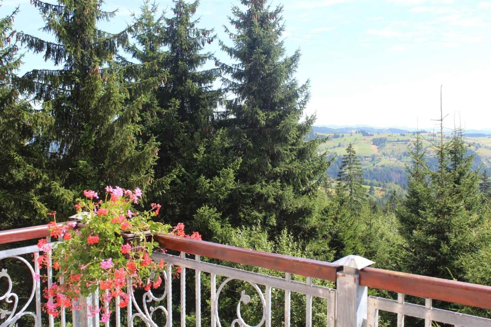 In Hotel Zlatar Ex Zlatarski Biseri Nova Varoš Екстериор снимка